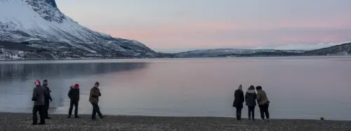 Narvik Fjäll and Fjord Day Tour from Abisko or Björkliden gallery