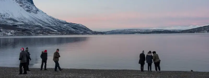 Narvik Fjäll and Fjord Day Tour from Abisko or Björkliden