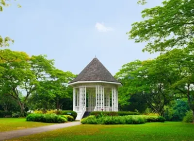 Singapore Signature Guided Tour (Chinatown & Botanic Garden) - Photo 3
