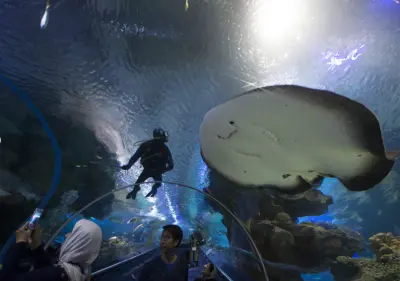 Aquaria KLCC - Photo 5