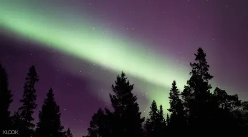 Northern Lights Snowshoe Experience in Lulea gallery
