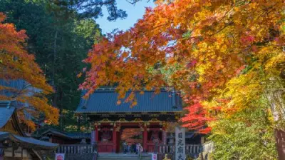 Nikko Toshogu Shrine - Photo 3