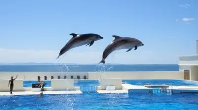 Kobe Suma Seaworld - Photo 4