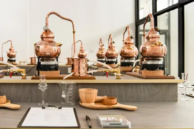 Brass Lion Gin School - Photo 5
