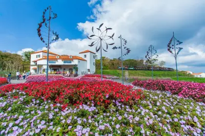 Ecoland Jeju - Photo 5