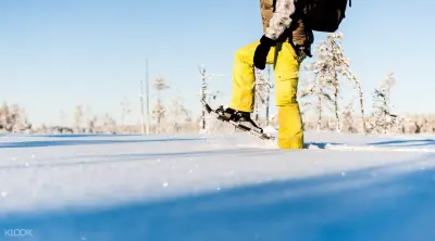 Snowshoeing Experience in Lulea - Photo 2