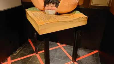 Momotaro's Karakuri Museum - Photo 4