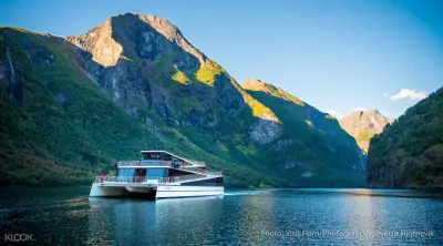 Nærøyfjord Cruise with Optional Round Trip Transfers from Flam or Gudvangen - Photo 5