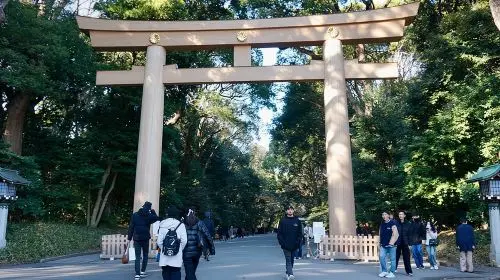 Tokyo Harajuku Tour: From Meiji Park to Takeshita St to Shibuya Crossing Day Tours gallery