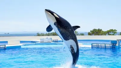 Kobe Suma Seaworld - Photo 3