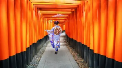 Kyoto & Nara 7 Major Spots Highlights Day Tour [Kiyomizudera Temple / Fushimi Inari Taisha / Nara Park / Kasugataisha Shrine / Byodoin Temple / Uji Omotesando / Todaiji Temple] Day Tours - Photo 3