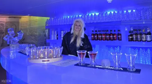 Magic Ice Bergen Admission Ticket gallery