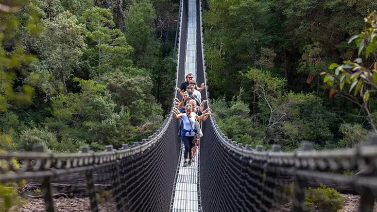 Tahune AirWalk General Entry in Sydney, Australia