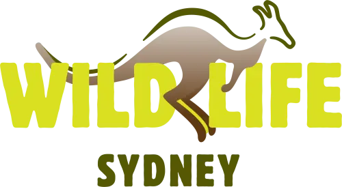 WILD LIFE Sydney gallery