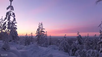 Snowshoeing Experience in Lulea - Photo 4