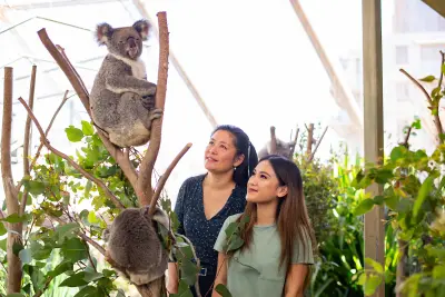 WILD LIFE Sydney - Photo 5