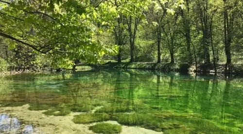 Olympic Mountains and Springs of River Bosna Half Day Tour from Sarajevo gallery