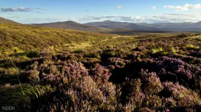 Wicklow Mountains and Glendalough Tour from Dublin - Photo 2