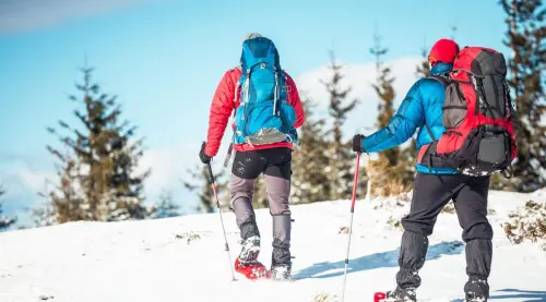 Others Day Snowshoeing Experience gallery
