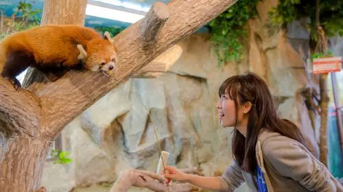 Nasu Animal Kingdom gallery