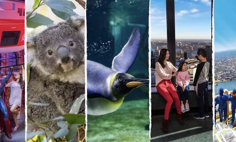 Ultimate Sydney Attractions Pass in Sydney, Australia
