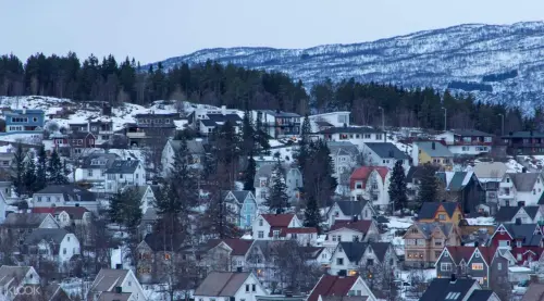 Narvik Fjäll and Fjord Day Tour from Abisko or Björkliden gallery