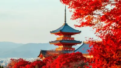 Kyoto & Nara 7 Major Spots Highlights Day Tour [Kiyomizudera Temple / Fushimi Inari Taisha / Nara Park / Kasugataisha Shrine / Byodoin Temple / Uji Omotesando / Todaiji Temple] Day Tours - Photo 4
