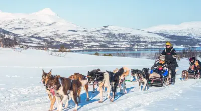 Husky Dog Sledding - Photo 5