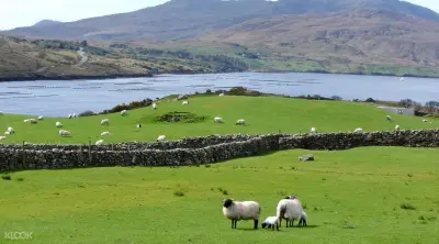 Wild Connemara Day Tour from Dublin - Photo 3