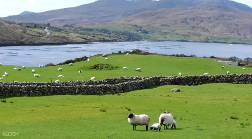 Wild Connemara Day Tour from Dublin gallery