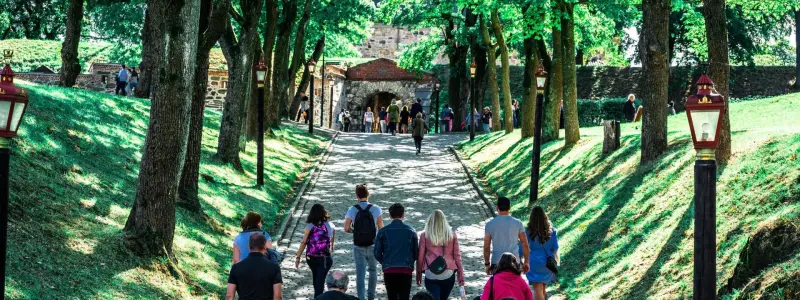 Oslo City and Viking Ship Museum Private Walking Tour