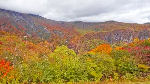 Toshogu Kegon Falls Lake Chuzenji one-day tour gallery