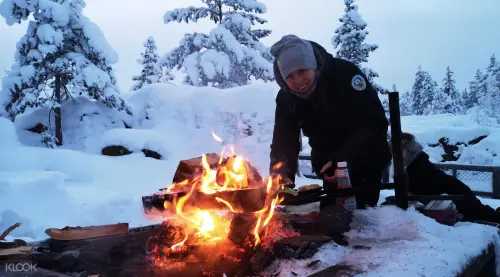 Storforsen Nature Reserve Tour from Lulea gallery