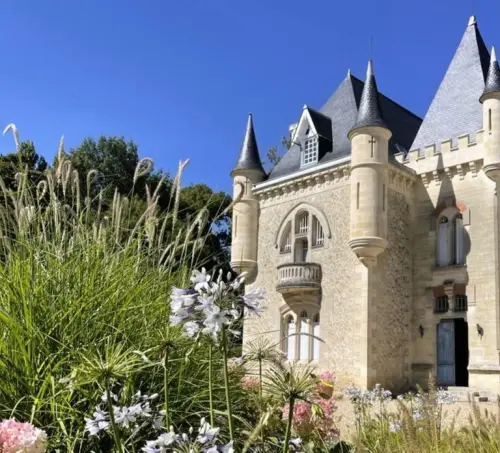 From Bordeaux: Afternoon Saint-Emilion Wine Tasting & snack gallery
