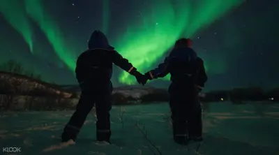 Northern Lights Minibus Chase Tour from Others - Photo 4