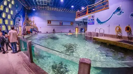 Houston Interactive Aquarium & Animal Preserve in Humble, United States