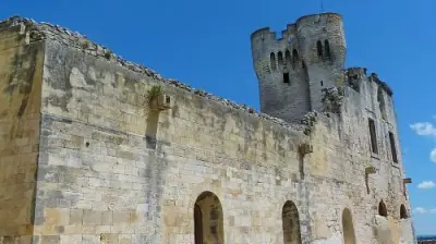 Abbaye de Montmajour - Photo 2