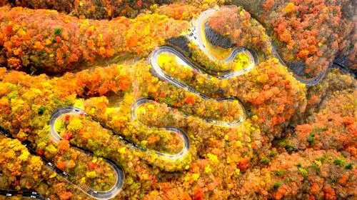 Nikko World Heritage Site, Toshogu Shrine, Lake Chuzenji, and Kegon Falls 1-day tour with Autumn Leaf Viewing Day Tours gallery