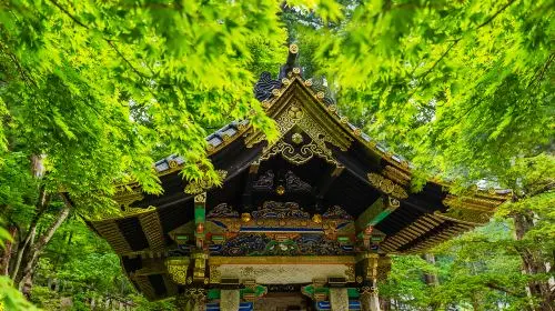 Nikko Toshogu Shrine gallery