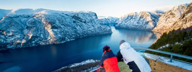 Stegastein Viewpoint Sightseeing Bus Tour from Flam
