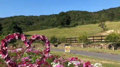 Awaji Farm Park England Hill - Photo 2
