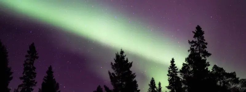 Northern Lights Snowshoe Experience in Lulea