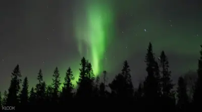 Northern Lights Snowshoe Experience in Lulea - Photo 4