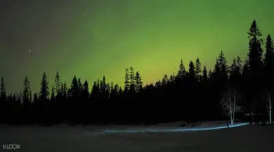 Northern Lights Snowshoe Experience in Lulea - Photo 3