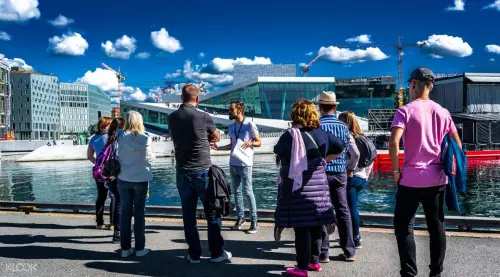 Oslo City and Viking Ship Museum Private Walking Tour gallery