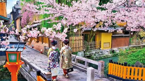 Kyoto 5-Star Geisha Night Walk: Small-Group Authentic Experience gallery