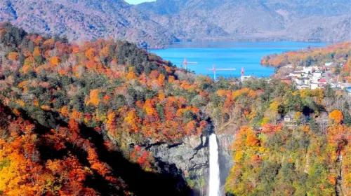 Nikko World Heritage Site, Toshogu Shrine, Lake Chuzenji, and Kegon Falls 1-day tour with Autumn Leaf Viewing Day Tours gallery