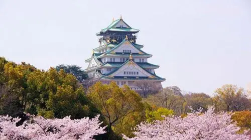 Hokuriku one-way ticket Osaka/Kyoto Fukui/Kanazawa/Toyama [e-ticket instant issuance] Transport Passes gallery
