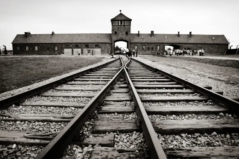 Auschwitz-Birkenau & Wieliczka Salt Mine: Guided Tour + Transport in Krakow, Poland