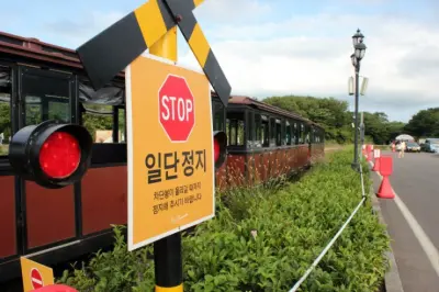 Ecoland Jeju - Photo 3